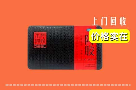 日照东港区回收阿胶