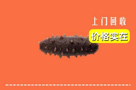 日照东港区回收海参