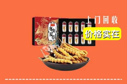日照东港区回收虫草