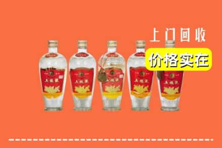 诚信求购:日照东港区高价回收老五粮液